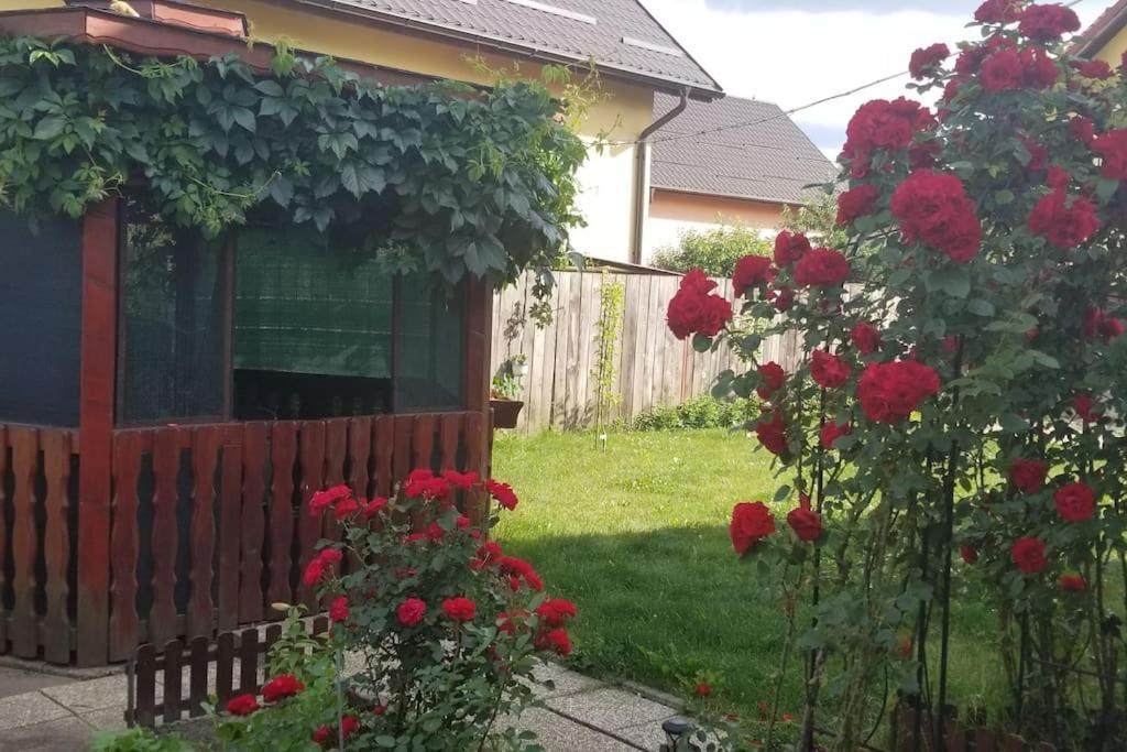 Casa Merilor I & II Braszów Zewnętrze zdjęcie
